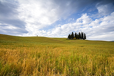 Clouds frame the gentle green hills of Val d'Orcia, UNESCO World Heritage Site, Province of Siena, Tuscany, Italy, Europe