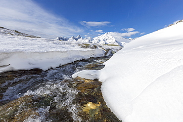 A creek in the snowy vallley with Monte Disgrazia in the background, Malenco Valley, Province of Sondrio, Valtellina, Lombardy, Italy, Europe