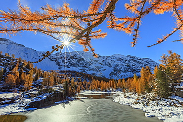 Red larches frame the frozen Lake Mufule, Malenco Valley, Province of Sondrio, Valtellina, Lombardy, Italy, Europe