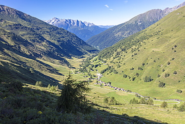 The typical alpine village of Case Di Viso surrounded by green meadows, Camonica Valley, province of Brescia, Lombardy, Italy, Europe