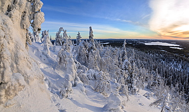 Panorama of snowy landscape and woods framed by blue sky and sun, Ruka, Kuusamo, Ostrobothnia region, Lapland, Finland, Europe