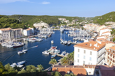 The green vegetation frames the medieval town and harbour, Bonifacio, Corsica, France, Mediterranean, Europe