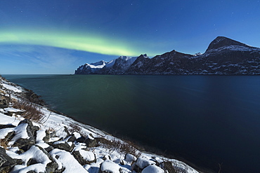 Northern Lights and stars over Senjahopen peak surrounded by the frozen sea, Senja, Mefjordbotn, Troms county, Norway, Scandinavia, Europe