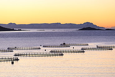 Sunset lights up the fish tanks of codfish and salmon in the cold sea of Torsken, Senja, Troms, Norway, Scandinavia, Europe