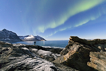 Photographer under the stars and Northern Lights (aurora borealis) surrounded by rocky peaks and icy sea, Tungeneset, Senja, Troms, Norway, Scandinavia, Europe