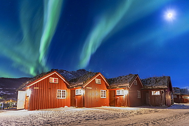 The Northern Lights (aurora borealis) and moon light up typical wood huts called Rorbu, Manndalen, Kafjord, Lyngen Alps, Troms, Norway, Scandinavia, Europe