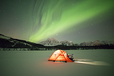 Photographer in a tent lit up by Northern Lights (aurora borealis) and starry sky in the polar night, Svensby, Lyngen Alps, Troms, Norway, Scandinavia, Europe