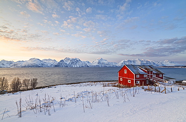 Pink sky at sunset on a wooden hut called Rorbu, frozen sea and snowy peaks, Djupvik, Lyngen Alps, Troms, Norway, Scandinavia, Europe