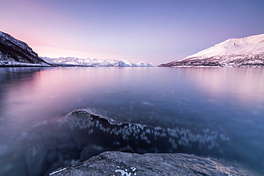 Pink sky and snowy peaks reflected in the frozen sea at sunset, Manndalen, Kafjord, Lyngen Alps, Troms, Norway, Scandinavia, Europe