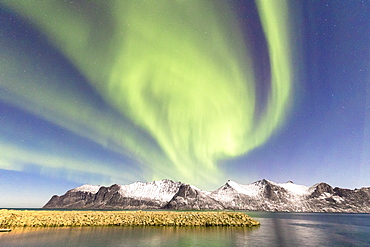 Northern lights (aurora borealis) on snowy peaks and icy sea along Mefjorden seen from the village of Mefjordvaer, Senja, Troms, Norway, Scandinavia, Europe