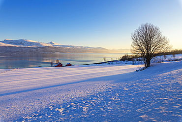 Wooden hut in the snowy landscape facing the cold sea on the road leading from Gibostad to Finnsnes, Senja, Troms, Norway, Scandinavia, Europe