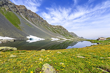 Yellow flowers frame the rocky peaks reflected in Lake Schottensee, Fluela Pass canton of Graubunden, Engadine, Switzerland, Europe