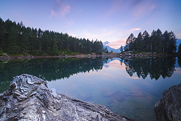 Trees reflected in Lago Azzurro under pink sky at dawn, Motta Madesimo, Spluga Valley, Sondrio, Valtellina, Lombardy, Italy, Europe