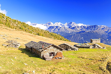 Alpine huts framed by snowy peaks of Bernina Group, Arcoglio Alp, Val Torreggio, Malenco Valley, Valtellina, Lombardy, Italy, Europe