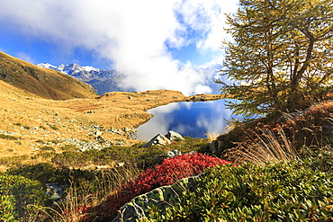 Clouds on peaks of Bernina Group reflected in Lake Arcoglio, Val Torreggio, Malenco Valley, Valtellina, Lombardy, Italy, Europe