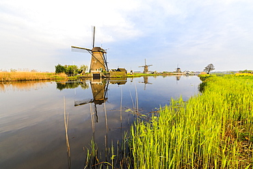 Dawn on windmills reflected in the canal surrounded by green meadows, Kinderdijk, UNESCO World Heritage Site, Molenwaard, South Holland, The Netherlands, Europe