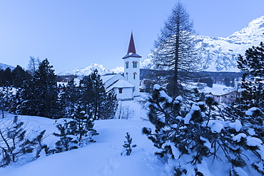 Blue lights of dusk on Chiesa Bianca framed by snowy trees, Maloja Pass, Engadine, Canton of Graubunden, Switzerland, Europe