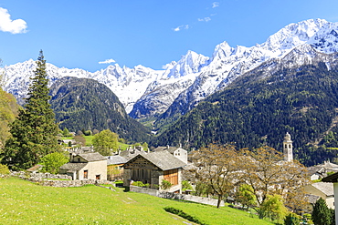 View of Soglio between meadows and snowy peaks in spring, Maloja, Bregaglia Valley, Engadine, canton of Graubunden, Switzerland, Europe