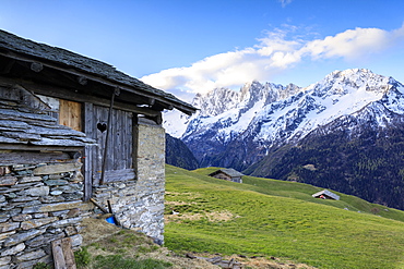 Alpine hut framed by meadows and snowy peaks at dawn, Tombal, Soglio, Bregaglia Valley, canton of Graubunden, Switzerland, Europe