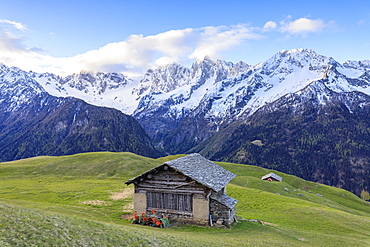 Meadows and wooden huts framed by snowy peaks at dawn, Tombal, Soglio, Bregaglia Valley, canton of Graubunden, Switzerland, Europe