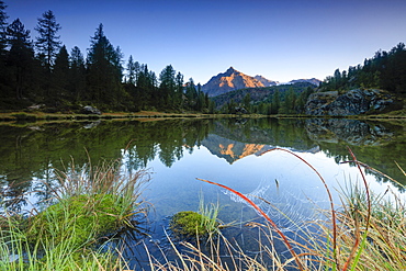 Rocky peak of Sasso Moro reflected in Lake Mufule at dawn, Malenco Valley, Province of Sondrio, Valtellina, Lombardy, Italy, Europe