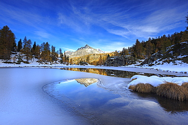 Rocky peaks and larches reflected in the frozen Lake Mufule, Malenco Valley, Province of Sondrio, Valtellina, Lombardy, Italy, Europe