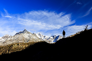 Hiker admires Monte Disgrazia from Lake Mufule, Malenco Valley, Province of Sondrio, Valtellina, Lombardy, Italy, Europe