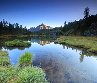 Panorama of Sasso Moro reflected in Lake Mufule at dawn, Malenco Valley, Province of Sondrio, Valtellina, Lombardy, Italy, Europe