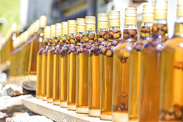 Details of bottles of grappa, a typical liquor, San Romerio Alp, Brusio, Canton of Graubunden, Poschiavo Valley, Switzerland, Europe