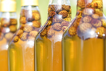 Detail of bottles of grappa, a typical liquor, San Romerio Alp, Brusio, Canton of Graubunden, Poschiavo Valley, Switzerland, Europe