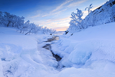 Sunrise on the frozen river and forest, Abisko, Kiruna Municipality, Norrbotten County, Lapland, Sweden, Scandinavia, Europe