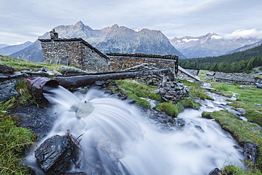 Flowing water of alpine creek, Entova Alp, Malenco Valley, Sondrio province, Valtellina, Lombardy, Italy, Europe