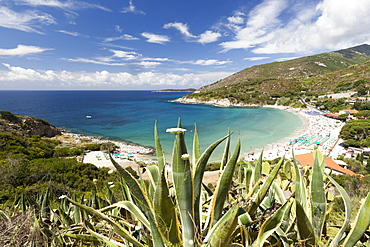 View of turquoise sea and Cavoli Beach, Marciana, Elba Island, Livorno Province, Tuscany, Italy, Europe