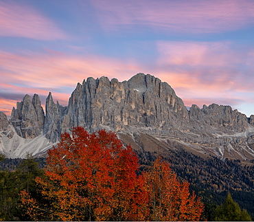 Sunrise on Catinaccio Rosengarten and Torri Del Vajolet in autumn, Tires Valley, Dolomites, South Tyrol, Bolzano province, Italy, Europe