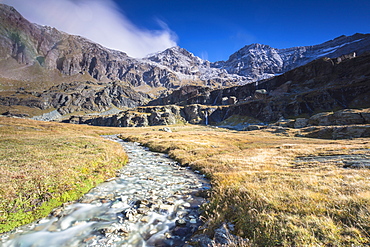 Creek flowing between meadows, Alpe Fora, Malenco Valley, province of Sondrio, Valtellina, Lombardy, Italy, EuropeCreek flowing between meadows, Alpe Fora, Malenco Valley, province of Sondrio, Valtellina, Lombardy, Italy, Europe