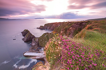 Sunset on Dunquin pier (Dun Chaoin), Dingle Peninsula, County Kerry, Munster province, Republic of Ireland, Europe