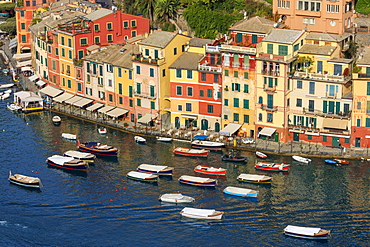 Harbour and typical coloured houses, Portofino, province of Genoa, Liguria, Italy, Europe