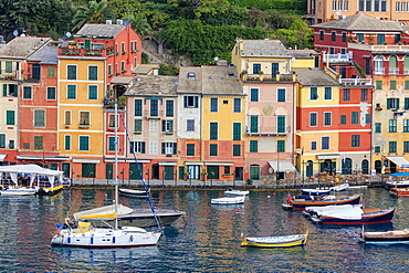 Harbour and typical coloured houses, Portofino, province of Genoa, Liguria, Italy, Europe