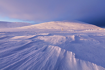 Dusk on snowy landscape, Pallas-Yllastunturi National Park, Muonio, Lapland, Finland, Europe