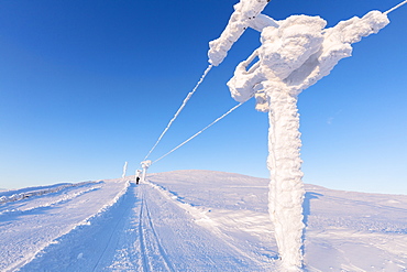 Hiker walks on frozen path, Pallas-Yllastunturi National Park, Muonio, Lapland, Finland, Europe