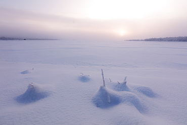 Misty sunrise on the snowy landscape, Muonio, Lapland, Finland, Europe