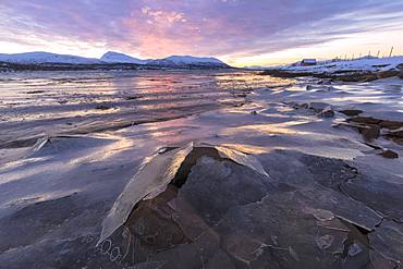 Sunset on rocks covered with ice, Troms, Norway, Scandinavia, Europe