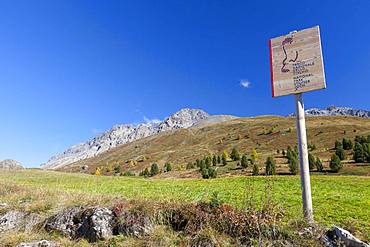 Hiking signage of Stelvio National Park, Val Vezzola, Valdidentro, Valtellina, Sondrio province, Lombardy, Italy, Europe