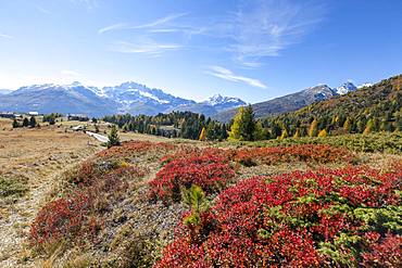 Val Vezzola during autumn, Valdidentro, Valtellina, Sondrio province, Lombardy, Italy, Europe