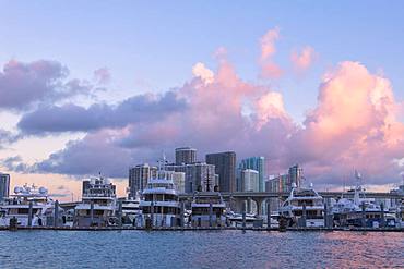 Yacht at the marina and Downtown Miami in background seen from Watson Island, Miami, Florida, United States of America, North America