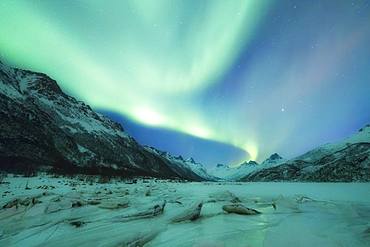 Northern Lights (Aurora borealis) on frozen sea, Olderfjorden, Svolvaer, Lofoten Islands, Nordland, Norway, Europe