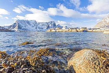 Fishing village of Sakrisoy, Lofoten Islands, Nordland, Norway, Europe