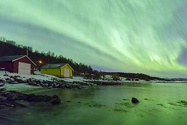 Northern Lights (Aurora borealis), Tovik, Skanland municipality, Troms county, Lofoten Islands, Nordland, Norway, Europe