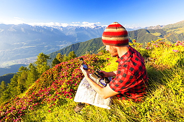 Hiker sitting near rhododendrons on Pizzo Berro looks at the compass and map, Bitto Valley, Lombardy, Italy, Europe