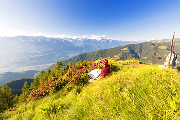 Hiker with binoculars and map looks towards Rhaetian Alps and Monte Disgrazia from Pizzo Berro, Bitto Valley, Lombardy, Italy, Europe